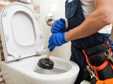 Toilet Repair